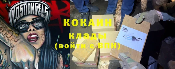 крисы Заводоуковск